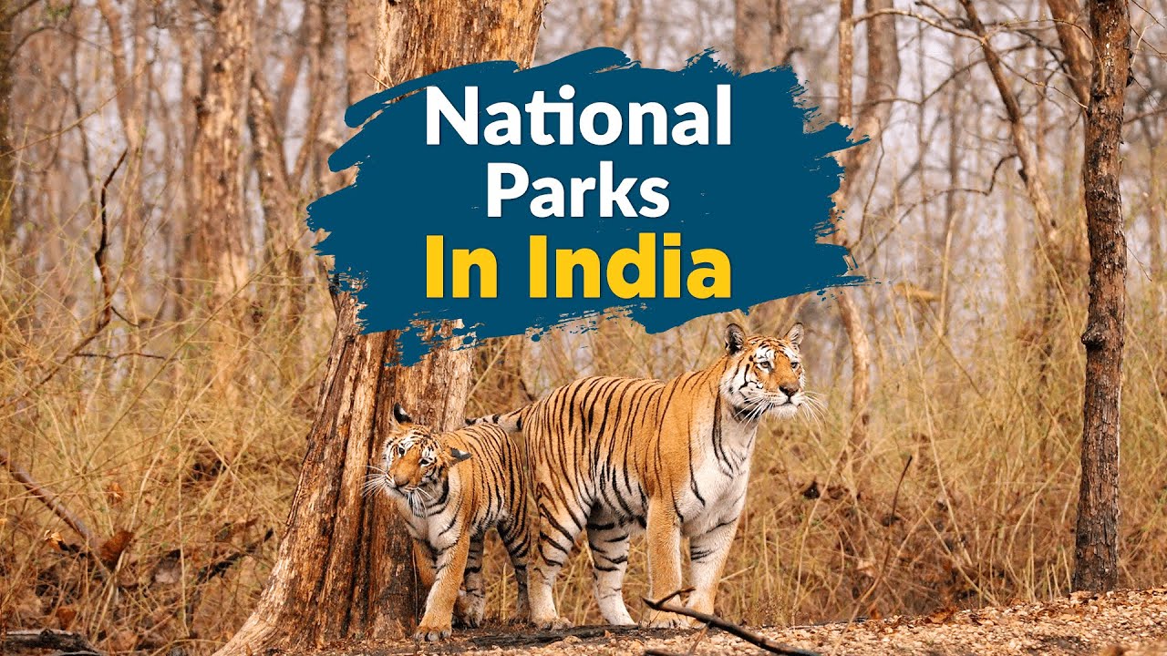 10 National Parks in India